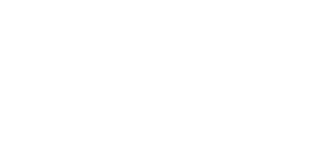GAUT Automotora